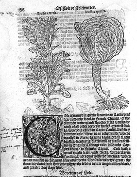 The first and seconde partes of the Herbal ... / lately oversene, corrected, and enlarged. With the thirde parte ... Here unto is joyned also a Booke of the bath of Baeth in England, and of the vertues of the same with divers other bathes.