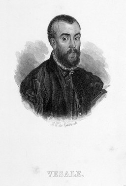 Andreas Vesalius. Line engraving by W.J.J. Des Hauvents.