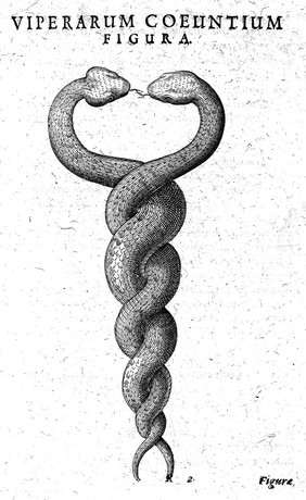 Discursus medico-philosophicus de casu adolescentis cujusdam Argentoratensis mirabili: qui anno M.DC.XVII octavo Aprilis, circa horam primam pomeridianam, mortuus in quodam paternarum aedium loco, adjacente ipsi serpente, a domesticis inventus fuit. Publice ... habitus ... / [Melchior Sebisch].