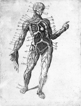 Il barbiere ... libri tre. Ne' quali si ragiona dell'eccellenza dell'arte, e de' suoi precetti. Delle vene, e regole d'aprirle. Dell'applicatione de' remedi chirurgici appartenenti al mestiere. Con figure anatomiche e di nuovi strumenti.