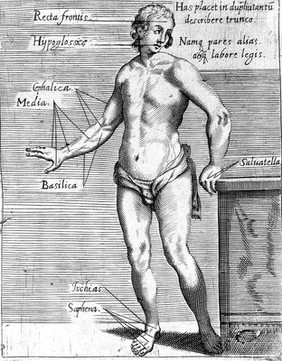 Il barbiere ... libri tre. Ne' quali si ragiona dell'eccellenza dell'arte, e de' suoi precetti. Delle vene, e regole d'aprirle. Dell'applicatione de' remedi chirurgici appartenenti al mestiere. Con figure anatomiche e di nuovi strumenti.