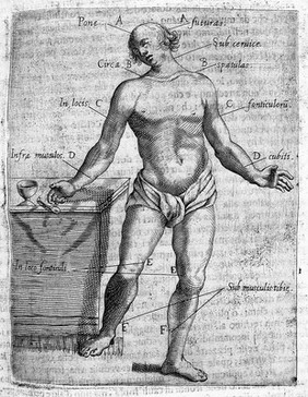 Il barbiere ... libri tre. Ne' quali si ragiona dell'eccellenza dell'arte, e de' suoi precetti. Delle vene, e regole d'aprirle. Dell'applicatione de' remedi chirurgici appartenenti al mestiere. Con figure anatomiche e di nuovi strumenti.