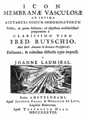 Icon membranae vasculosae ad infima acetabuli ossium innominatorum positae, ex puero desumtae; ad objectum / ... praeparatum a ... F. Ruyschio ... delineata, & ... impressa a J. Ladmiral. [With explanations in Latin, French, and Dutch].