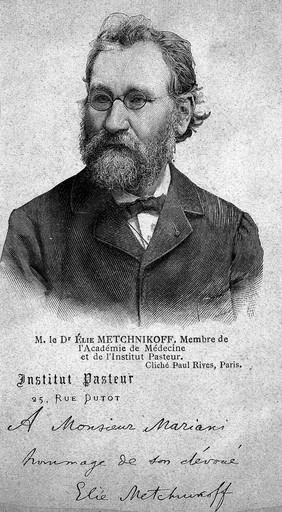 Elie Metchnikoff. Wood engraving.