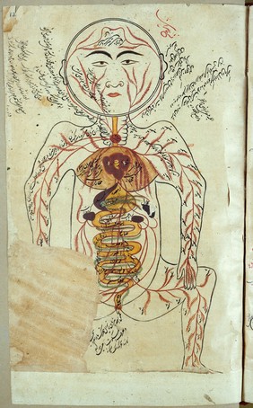 MS Arabic 155.