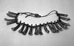 view Amuletic necklace, Bear claws and red trade beads.