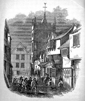 The history of the cholera in Exeter in 1832 / [Thomas Shapter].