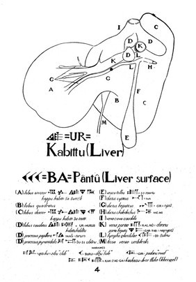 Sheep's liver with Latin and Babylonian-Assyrian designations