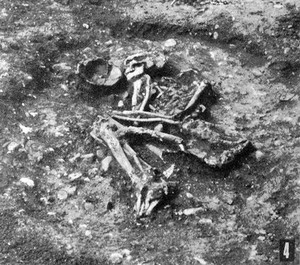 view Image of a Neolithic grave, damaged, Czechoslovakia.