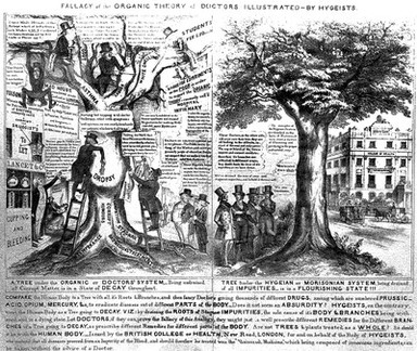 Two trees being cultivated by doctors; symbolising the differences claimed by James Morison between the 'organic' and his 'hygeist' approached to health. Lithograph, c. 1835.