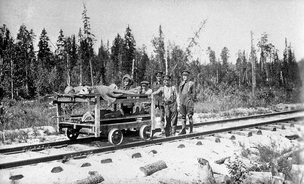 WWI: transport of wounded using sled pulled by mule