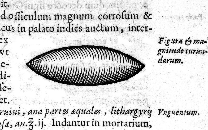 Guilhelmi Fabricii Hildani ... Observationum et curationum chirurgicarum centuriae, nunc primum in unum opus congestae, ac in duo volumina distributae. Quorum prius continet centurias I. II. & III / [Wilhelm Fabricius Hildanus].