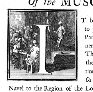 Myotomia reformata: or an anatomical treatise on the muscles of the human body ... To which is prefix'd an introduction concerning muscular motion / [William Cowper].