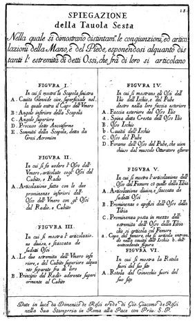 Anatomia per uso et intelligenza del disegno ricercata non solo su gl'ossi, e muscoli del corpo humano; ma dimostrata ancora su le statue antiche più insigni di Roma. Delineata in più tavole con tutte le figure in varie faccie, e vedute / Per istudio della Regia Academia de Francia Pittura e Scultura sotto la direzzione di Carlo Errard gia direttore di essa in Roma. Preparata su'i cadaveri dal dottor Bernardino Genga ... Con le spiegazioni et indice del Sigr. canonico Gio. Maria Lancisi.