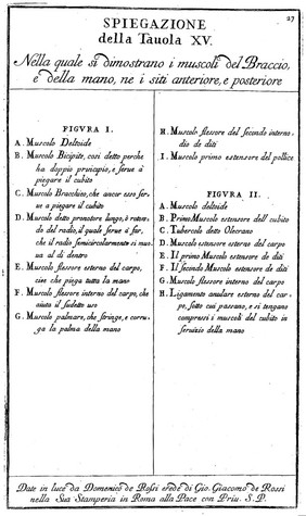 Anatomia per uso et intelligenza del disegno ricercata non solo su gl'ossi, e muscoli del corpo humano; ma dimostrata ancora su le statue antiche più insigni di Roma. Delineata in più tavole con tutte le figure in varie faccie, e vedute / Per istudio della Regia Academia de Francia Pittura e Scultura sotto la direzzione di Carlo Errard gia direttore di essa in Roma. Preparata su'i cadaveri dal dottor Bernardino Genga ... Con le spiegazioni et indice del Sigr. canonico Gio. Maria Lancisi.