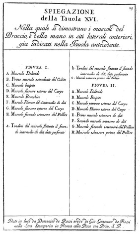 Anatomia per uso et intelligenza del disegno ricercata non solo su gl'ossi, e muscoli del corpo humano; ma dimostrata ancora su le statue antiche più insigni di Roma. Delineata in più tavole con tutte le figure in varie faccie, e vedute / Per istudio della Regia Academia de Francia Pittura e Scultura sotto la direzzione di Carlo Errard gia direttore di essa in Roma. Preparata su'i cadaveri dal dottor Bernardino Genga ... Con le spiegazioni et indice del Sigr. canonico Gio. Maria Lancisi.