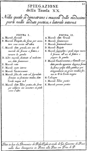 Anatomia per uso et intelligenza del disegno ricercata non solo su gl'ossi, e muscoli del corpo humano; ma dimostrata ancora su le statue antiche più insigni di Roma. Delineata in più tavole con tutte le figure in varie faccie, e vedute / Per istudio della Regia Academia de Francia Pittura e Scultura sotto la direzzione di Carlo Errard gia direttore di essa in Roma. Preparata su'i cadaveri dal dottor Bernardino Genga ... Con le spiegazioni et indice del Sigr. canonico Gio. Maria Lancisi.