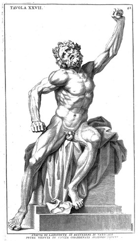 Anatomia per uso et intelligenza del disegno ricercata non solo su gl'ossi, e muscoli del corpo humano; ma dimostrata ancora su le statue antiche più insigni di Roma. Delineata in più tavole con tutte le figure in varie faccie, e vedute / Per istudio della Regia Academia de Francia Pittura e Scultura sotto la direzzione di Carlo Errard gia direttore di essa in Roma. Preparata su'i cadaveri dal dottor Bernardino Genga ... Con le spiegazioni et indice del Sigr. canonico Gio. Maria Lancisi.