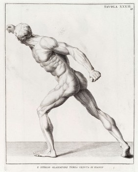 Anatomia per uso et intelligenza del disegno ricercata non solo su gl'ossi, e muscoli del corpo humano; ma dimostrata ancora su le statue antiche più insigni di Roma. Delineata in più tavole con tutte le figure in varie faccie, e vedute / Per istudio della Regia Academia de Francia Pittura e Scultura sotto la direzzione di Carlo Errard gia direttore di essa in Roma. Preparata su'i cadaveri dal dottor Bernardino Genga ... Con le spiegazioni et indice del Sigr. canonico Gio. Maria Lancisi.