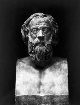 Portrait bust of Hippocrates from Soprintendenza Alle Gallerie - Firenze.