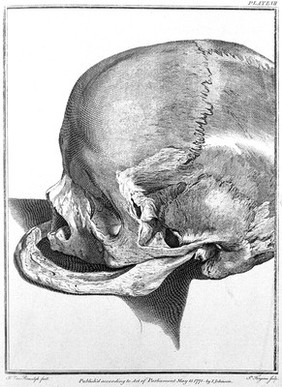 The natural history of the human teeth: explaining their structure, use, formation, growth, and diseases / [John Hunter].