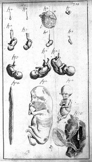 An essay towards a complete new system of midwifry, theoretical and practical. Together with the descriptions, causes and methods of removing, or relieving the disorders peculiar to pregnant ... women, and new-born infants / [John Burton].