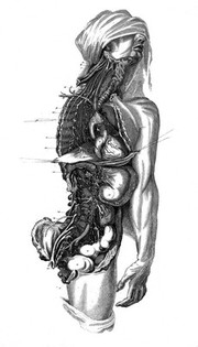 A series of engravings, explaining the course of the nerves. With an address to young physicians on the study of the nerves / [Sir Charles Bell].