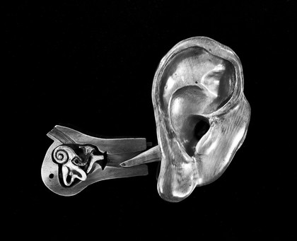 Anatomical ivory model of ear but with no drum. For the instruction of students