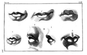 view Heads demonstrating points of physiognomy, from Lavater, Essays on physiognomy, 1797