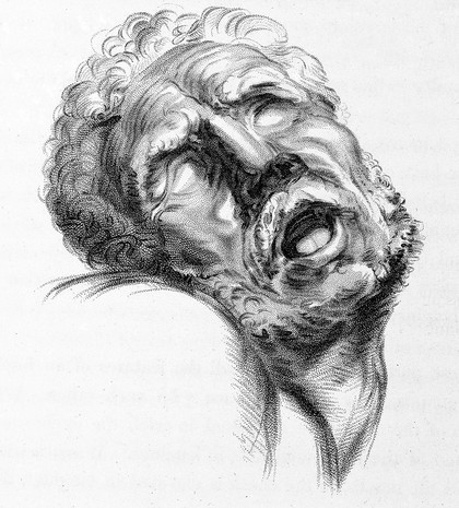 Essays on the anatomy of expression in painting / By Charles Bell.