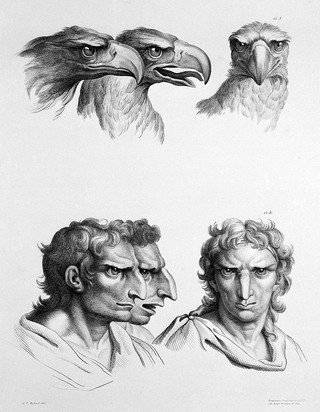 A series of lithographic drawings illustrative of the relation between the human physiognomy and that of the brute creation / From designs by Charles Le Brun: with remarks on the system. [Anon].