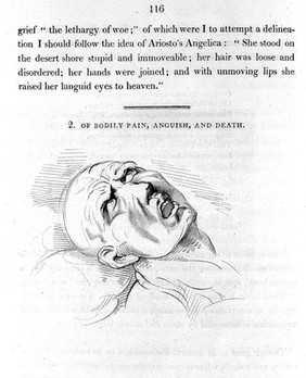 Essays on the anatomy of expression in painting / By Charles Bell.