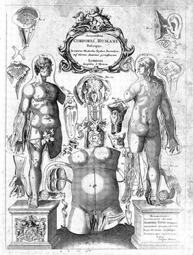 Remmelin "Survey of the microcosme": anatomical figures