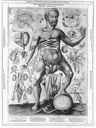 Catoptrum microcosmicum suis aere incisis visionibus splendens, cum historia, et pinace, de novo prodit / [Johann Remmelin].