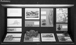 view Museum objects from exhibition-various.1972-3