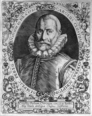 Charles de l'Écluse or Carolus Clusius (1526 – 1609)