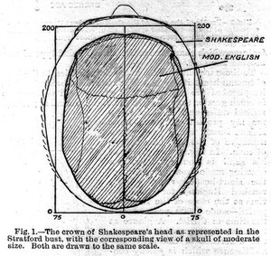 view Diagram comparing skulls of Shakespeare and modern man