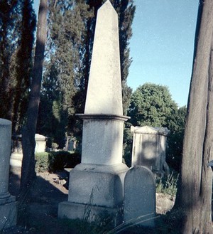 view View of the grave of Thomas Southwood Smith