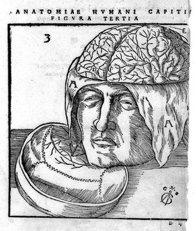 Anatomia capitis humani, in Marpurgensi Academia superiori anno, publice exhibita ... / [Johann Dryander].