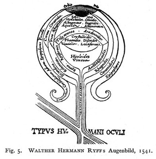 Tradition und Naturbeobachtung in den Illustrationen medizinischer Handschriften und Frühdrucke vornehmlich des 15. Jahrhunderts / Untersuchungen von Karl Sudhoff.