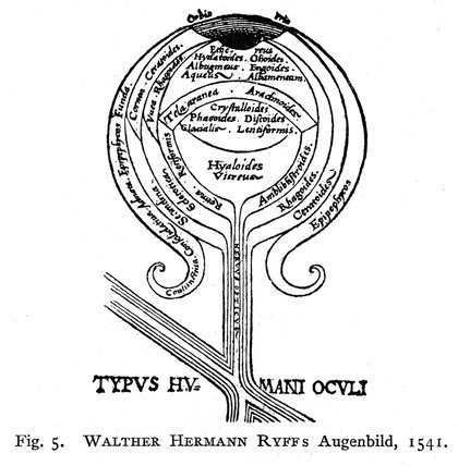 Tradition und Naturbeobachtung in den Illustrationen medizinischer Handschriften und Frühdrucke vornehmlich des 15. Jahrhunderts / Untersuchungen von Karl Sudhoff.