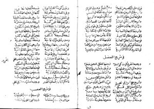 view Arabic Manuscript: Poem on general anatomy