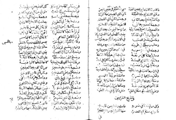 Arabic Manuscript: Poem on general anatomy