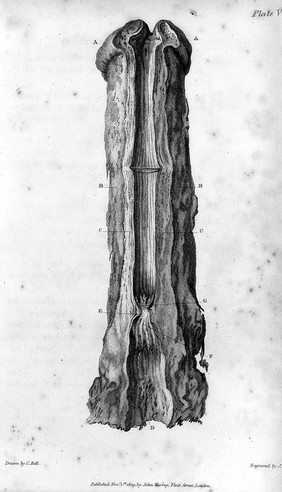 Letters concerning the diseases of the urethra / [Sir Charles Bell].