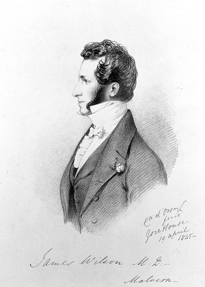 view James Wilson. Lithograph by R. J. Lane after Comte A. d'Orsay, 1845.