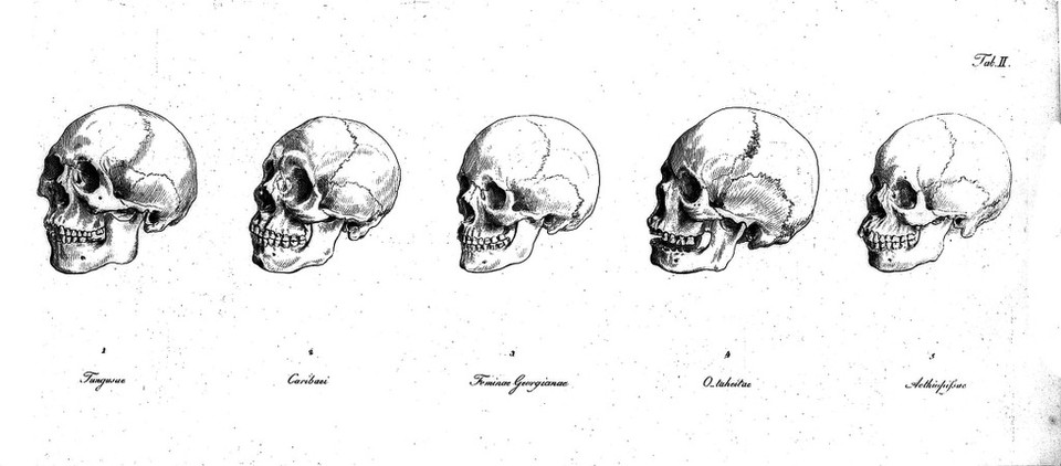 De generis humani varietate nativa / Auctore, Io. Frid. Blumenbach.