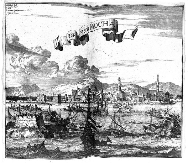 Naukeurige beschryving van Asie: behelsende de gewesten van Mesopotamie, Babylonie, Assyrie, Anatolie, of Klein Asie: beneffens eene volkome beschrijving van gansch Gelukkigh, Woest, en Petreesch of Steenigh Arabie / Vertoont in een bondigh ontwerp van 's lants benamingen, bepalingen, verdeilingen, steden, vlekken, gewassen, dieren, zeden, en aert der inwoonders, bestiering, geschiedenissen en godsdienst, inzonderheit die van d'oude Arabieren, Mahomet en Mahometanen.