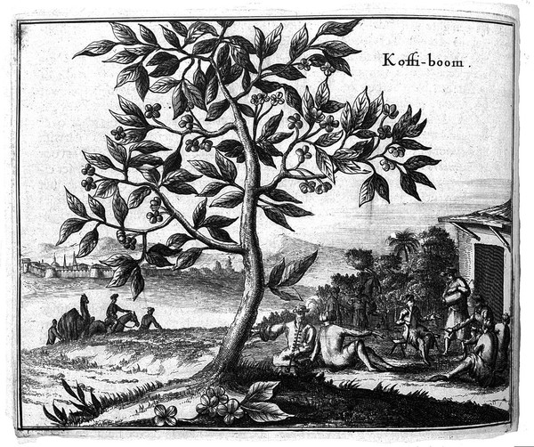 Naukeurige beschryving van Asie: behelsende de gewesten van Mesopotamie, Babylonie, Assyrie, Anatolie, of Klein Asie: beneffens eene volkome beschrijving van gansch Gelukkigh, Woest, en Petreesch of Steenigh Arabie / Vertoont in een bondigh ontwerp van 's lants benamingen, bepalingen, verdeilingen, steden, vlekken, gewassen, dieren, zeden, en aert der inwoonders, bestiering, geschiedenissen en godsdienst, inzonderheit die van d'oude Arabieren, Mahomet en Mahometanen.