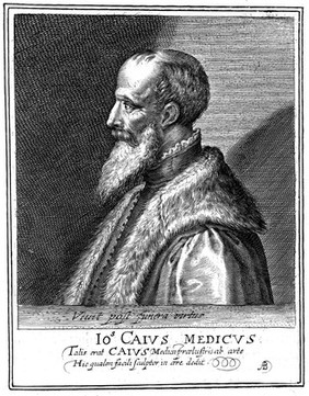 John Caius. Line engraving by W. and /or M. van der Passe, 1620.