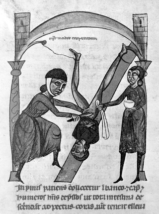 La chirurgia di M. Rolando da Parma detto dei Cappezzuti : riproduzione del codice latino n. 1382 della R. Biblioteca casanatense Roma / volgarizzamento e note del Giovanni Carbonelli.